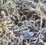 Метеорологическая зима пришла в Нижегородскую область - НИА Нижний Новгород