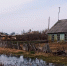Череп отдельно от туловища. Жуткую находку обнаружили нижегородцы - NewsNN.Ru
