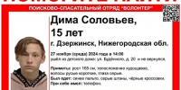 Пропавшего подростка из детдома разыскивают в Дзержинске - Newsroom24.Ru