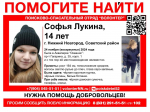 14-летняя Софья Лукина пропала в Нижнем Новгороде