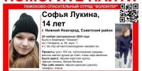 Девочка-подросток Софья Лукина пропала в Нижнем Новгороде - Время Н