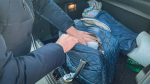 Нижегородцев призвали собрать «тревожный чемоданчик»: что туда положить