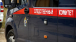 Дело об издевательствах над нижегородским младенцем дошло до Москвы