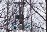 Похожий на беспилотник предмет нашли на дереве в Нижегородской области