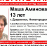 13-летняя девочка ушла из дома и не вернулась в Дзержинске - Нижегородская правда