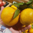Выбрали самые вкусные! Какие мандарины купить на Новый год в Нижнем Новгороде - NewsNN.Ru