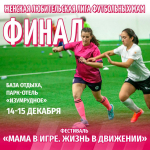 Финал любительской Лиги футбольных мам пройдет в Нижегородской области