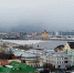 Нижегородцы жалуются Путину на транспорт, жилье и благоустройство  - фото 1 - vGorodeN.Ru