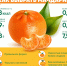 mandarin 2024 - Роспотребнадзор