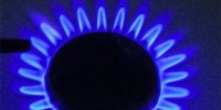 До шести лет грозит лжегазовщикам, обманувшим нижегородку на миллион рублей - Newsroom24.Ru