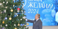 Более 50 нижегородских предприятий присоединились к акции "Ёлка желаний. Мой бизнес помогает" - НИА Нижний Новгород
