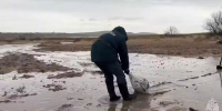 «Страшно смотреть». Нижегородский губернатор — о катастрофе в Анапе - NewsNN.Ru