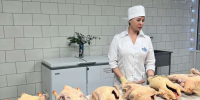 Ветеринары госветслужбы Нижнего не рекомендуют приобретать продукты к новогоднему столу на стихийных площадках - Газета День города. Нижний Новгород