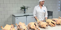 Ветеринары госветслужбы Нижнего не рекомендуют приобретать продукты к новогоднему столу на стихийных площадках - Администрация г. Нижний Новгород