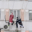 Деды Морозы-альпинисты поздравили пациентов Нижегородской детской городской клинической больницы №1 - Правительство Нижегородской области