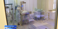 В Новый год жителей Нижегородской области стало на 21 больше - ProGorodNN.Ru