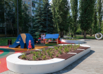 Почти 400 деревьев и более 3600 кустарников посажены в 2024 году в Сормовском районе