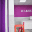 Суд аргументировал отказ Бакальчуку в передаче активов Wildberries - NewsNN.Ru