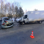 Два человека погибли из-за столкновение иномарки с грузовиком в Городецком районе
