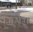 Власти проверили завод, затапливающий навозом село в Нижегородской области - фото 1 - vGorodeN.Ru