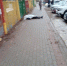 Мужчина скончался возле детского сада в Выксе - фото 1 - vGorodeN.Ru