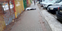 Мужчина скончался возле детского сада в Выксе - фото 1 - vGorodeN.Ru