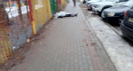 В Выксе у ограды детского сада обнаружили тело мужчины