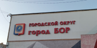 Бастрыкин затребовал доклад по ситуации с агрессивными бездомными собаками на Бору - Время Н