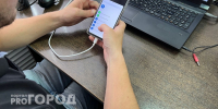 18-летний студент из Городца отправил все свои кредитки в Новороссийск, но так и не смог заработать - ProGorodNN.Ru