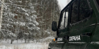Пять случаев незаконной вырубки леса выявили с начала года в Нижегородской области - ProGorodNN.Ru