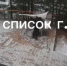 Камера сняла сломавших арт-объект «Слух» вандалов на Бору - Newsroom24.Ru