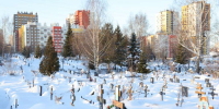 Нижегородец отдаст в собственность города участок для расширения кладбища - НИА Нижний Новгород