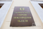 ЗСНО утвердило Солнцеву на пост зампреда нижегородского правительства