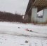 Стали известны подробности спасения юноши из Оки в Нижнем Новгороде - фото 1 - vGorodeN.Ru