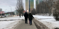 Нижний Новгород: расстрел собак и потеря 7 миллионов — главные новости за 01 марта - ProGorodNN.Ru