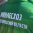 Анонс нового фильма из серии "Лес и человек. За пределами урбанистики" - Министерство лесного хозяйства