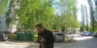 Дело об убийстве кота на Автозаводе прекратили из-за результатов экспертизы - Newsroom24.Ru