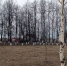Весна ворвется в жизнь нижегородцев резко и без стука: точная дата потепления - NewsNN.Ru