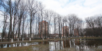 Пасмурно и до +9°C будет в Нижнем Новгороде 11 марта - Время Н