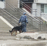 В Нижегородской области арестовали мужчину, который похитил двух жителей деревни Беляево и держал их на ферме - ProGorodNN.Ru