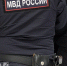 Нижегородка устроила праздничный дебош на 8 Марта и покусала полицейского - ProGorodNN.Ru