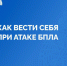 Как действовать при атаке БПЛА? - Министерство лесного хозяйства