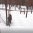 164_живоловушка.jpg - Керженский заповедник