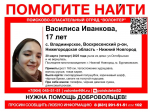 Двух пропавших девочек 6-е сутки ищут в Нижегородской области
