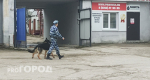 Бывший нижегородский военком, обвиненный во взятках, сбежал из-под ареста на СВО