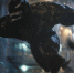 Загадочное «venom» набирает популярность в интернет-пространстве - Нижегородская правда