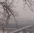 Пасмурная погода ожидается в Нижнем Новгороде на этой неделе - Нижегородская правда