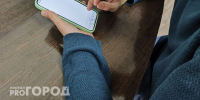 Житель Нижнего Новгорода остался без машины и миллиона, пытаясь получить авто из-за рубежа - ProGorodNN.Ru