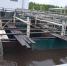 Ущерб реке Волге от деятельности Сокольского водоканала превысил 940 тысяч рублей - Росприроднадзор