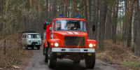 Патрулирование лесов проводится в Нижнем Новгороде в связи с особым противопожарным режимом, действующим в регионе с 1 апреля - Газета День города. Нижний Новгород